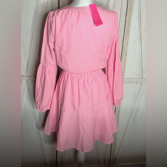 NWT Lilly Pulitzer Carla Harbor Striped Dress Roxie pink size 4 preppy flirty - Picture 6 of 13